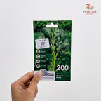Vegetable & Fruit Seeds