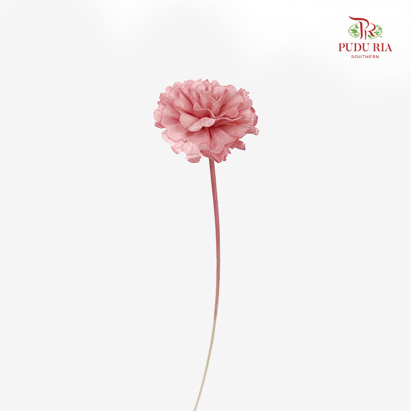 Dry Sola Marigold Red - 10 Stems