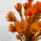 Spray Golden Goose Orange - (Per Bundle)