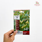 Vegetable & Fruit Seeds
