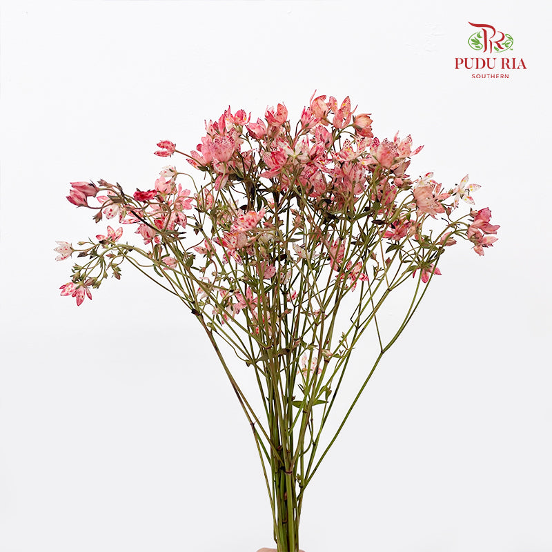 Nirvana Flower - (Per Bundle)