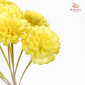 Dry Sola Marigold Yellow - 10 Stems