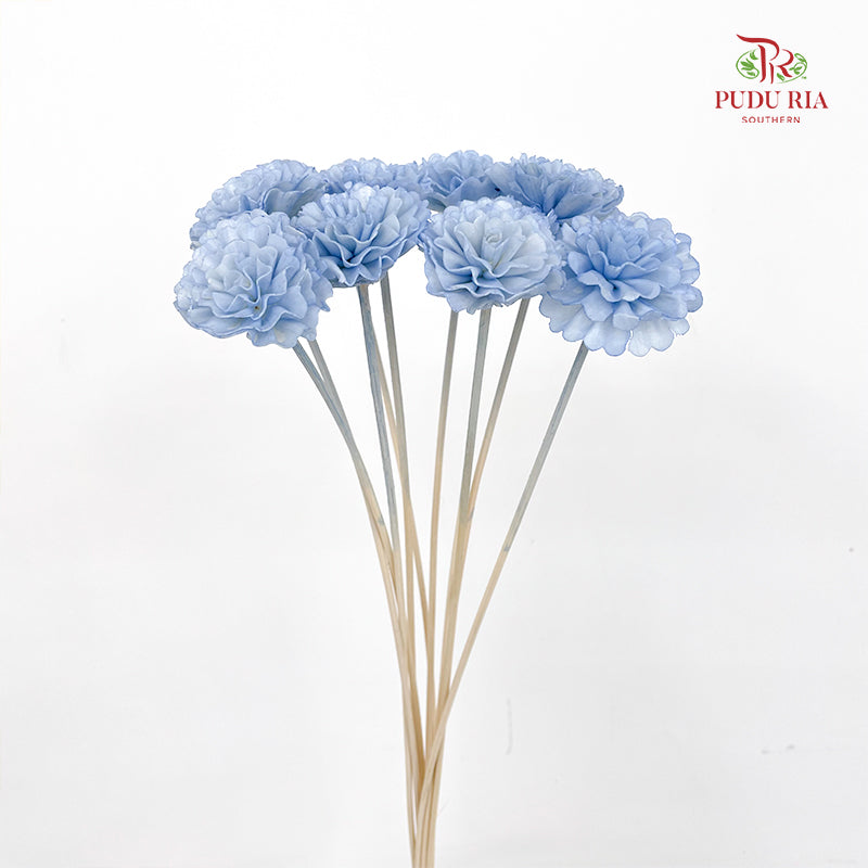 Dry Sola Marigold Blue - 10 Stems