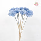 Dry Sola Marigold Blue - 10 Stems