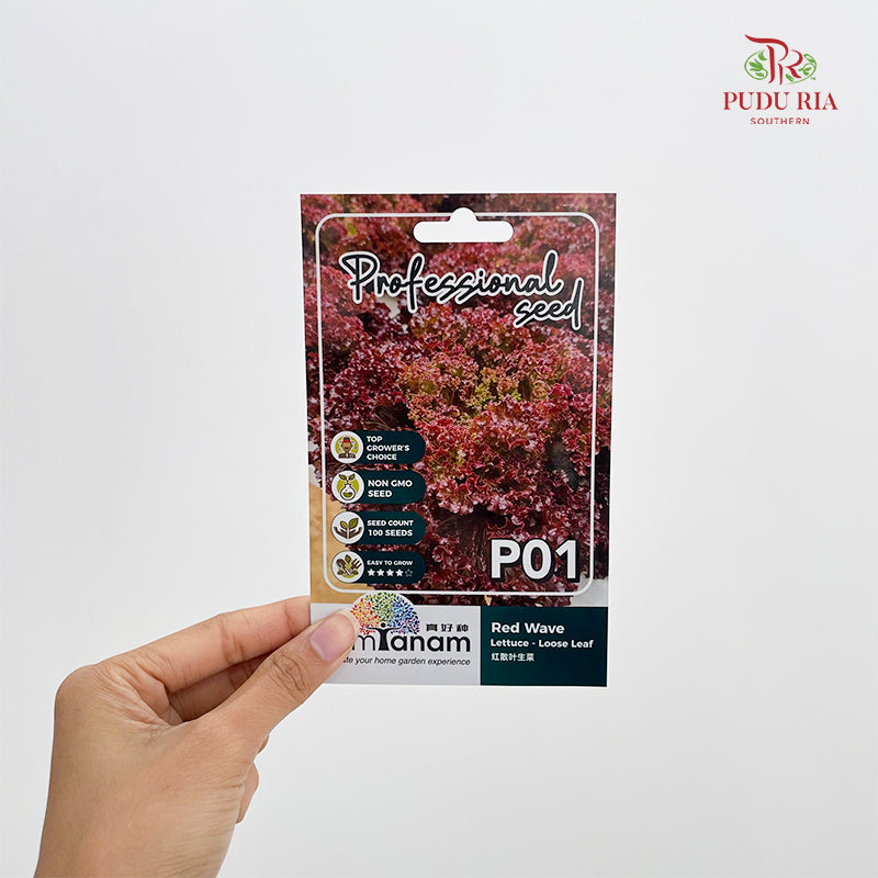 Flowers & Herbs Seeds