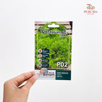 Flowers & Herbs Seeds