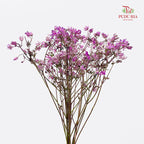 Nirvana Flower - (Per Bundle)