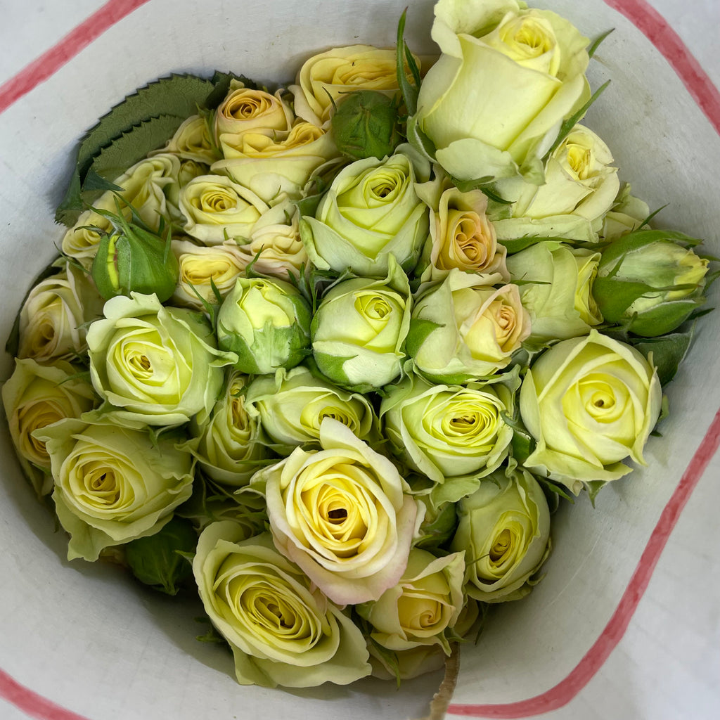 Rose Spray Light Yellow - (8-10 Stems)