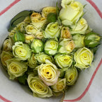 Rose Spray Light Yellow - (8-10 Stems)