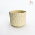 Y 升-5541 Pearl Beige Pot