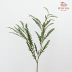 Grevillea Grass - Pudu Ria Florist Southern