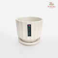 TY-6801 White Pot