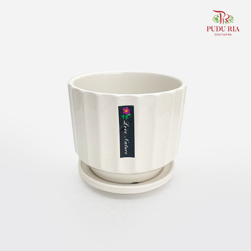 TY-6801 White Pot