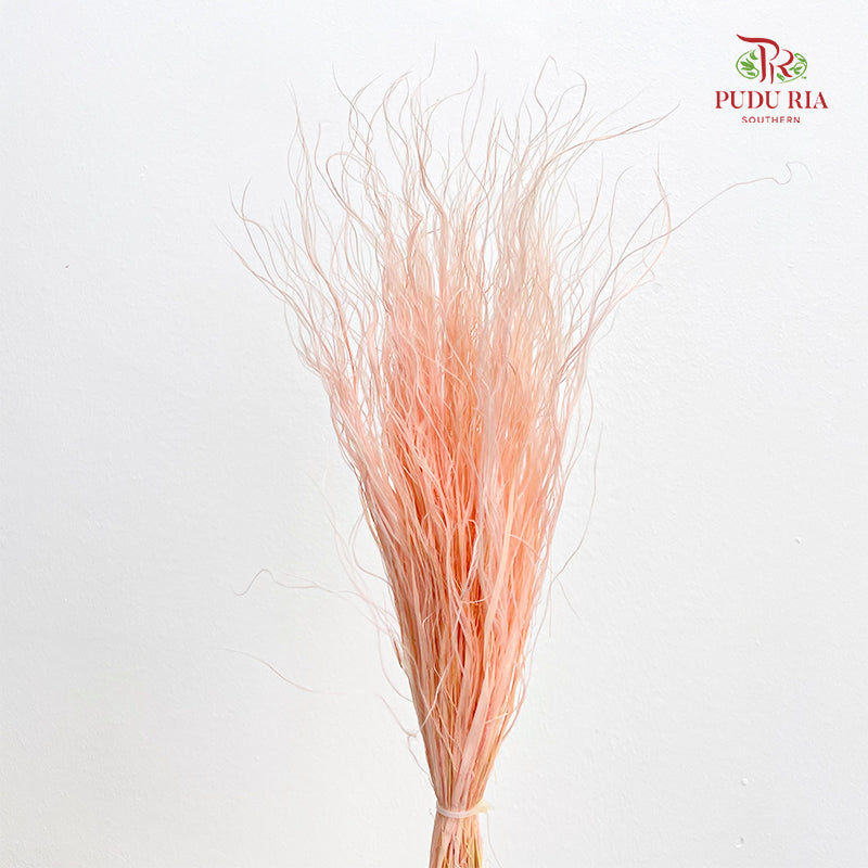 Dry Stipa Grass (Feather Grass) Peach