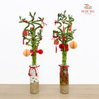 CNY Arrangement 2025#8
