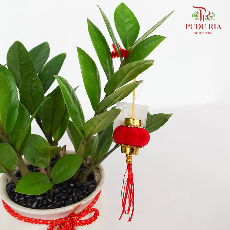 CNY Potted Plant Arrangement 2024#30