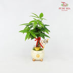 CNY Potted Plant Arrangement 2024#20