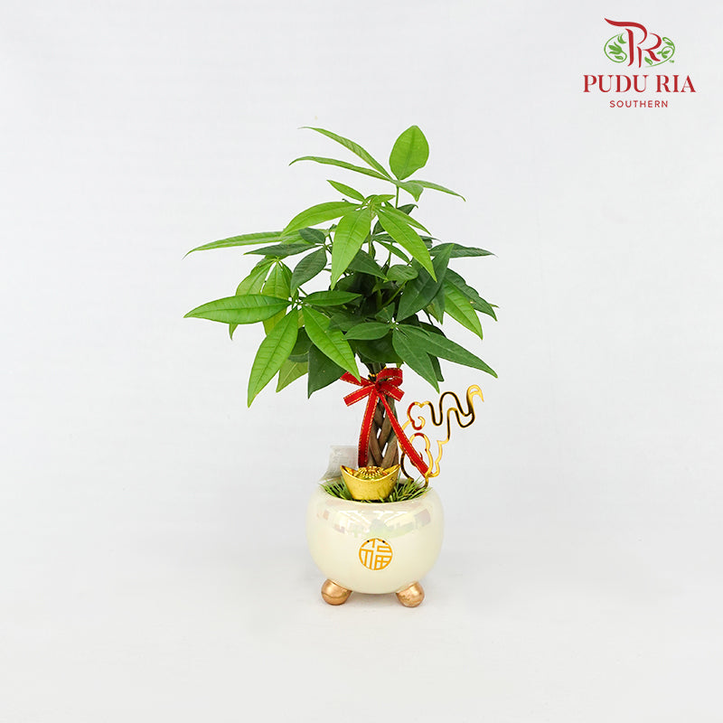 CNY Potted Plant Arrangement 2024#20