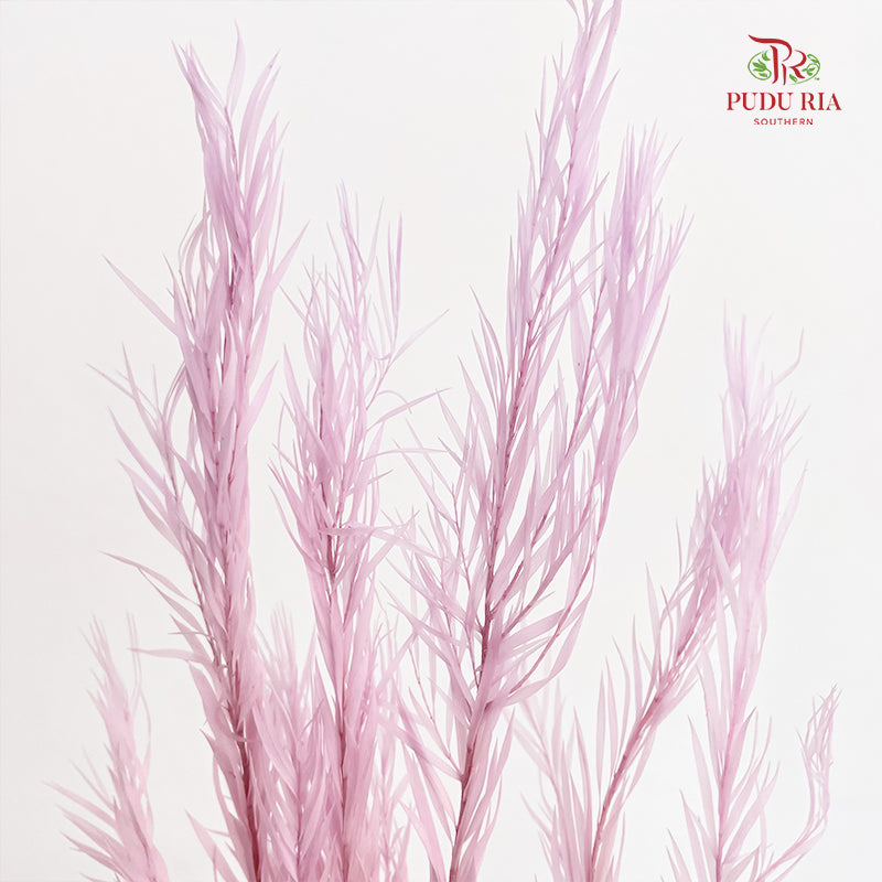 Dry melaleuca Leaf Lilac