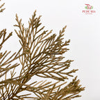 Cedar X mas Dyed Color Gold - (Per Bundle)