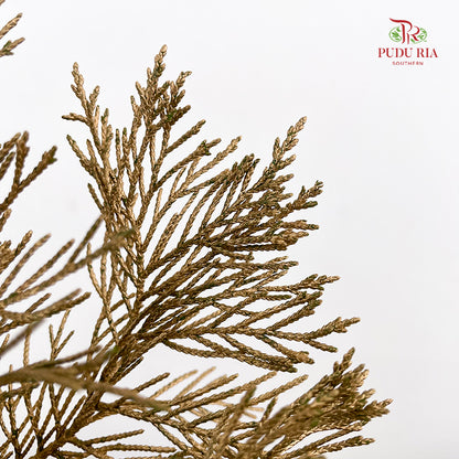 Cedar X mas Dyed Color Gold - (Per Bundle)
