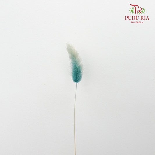 Dry Lagurus (Bunny Tails) - Sky Blue - Pudu Ria Florist Southern