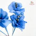 Dry Small Pomegranate Flower - Blue
