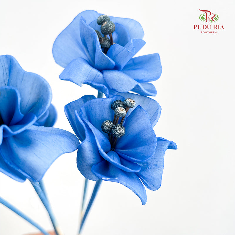 Dry Small Pomegranate Flower - Blue