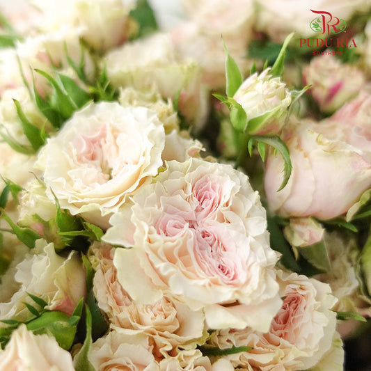 Rose Spray Premium Light Pink (8-10 Stems) - Pudu Ria Florist Southern