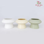 TY-8824 Pot