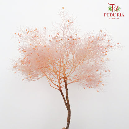 Dry Dream Grass Pink - Pudu Ria Florist Southern