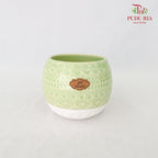 JC-1215-Y8 Pot