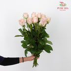 Rose Nuwa (8-10 Stems) - Pudu Ria Florist Southern