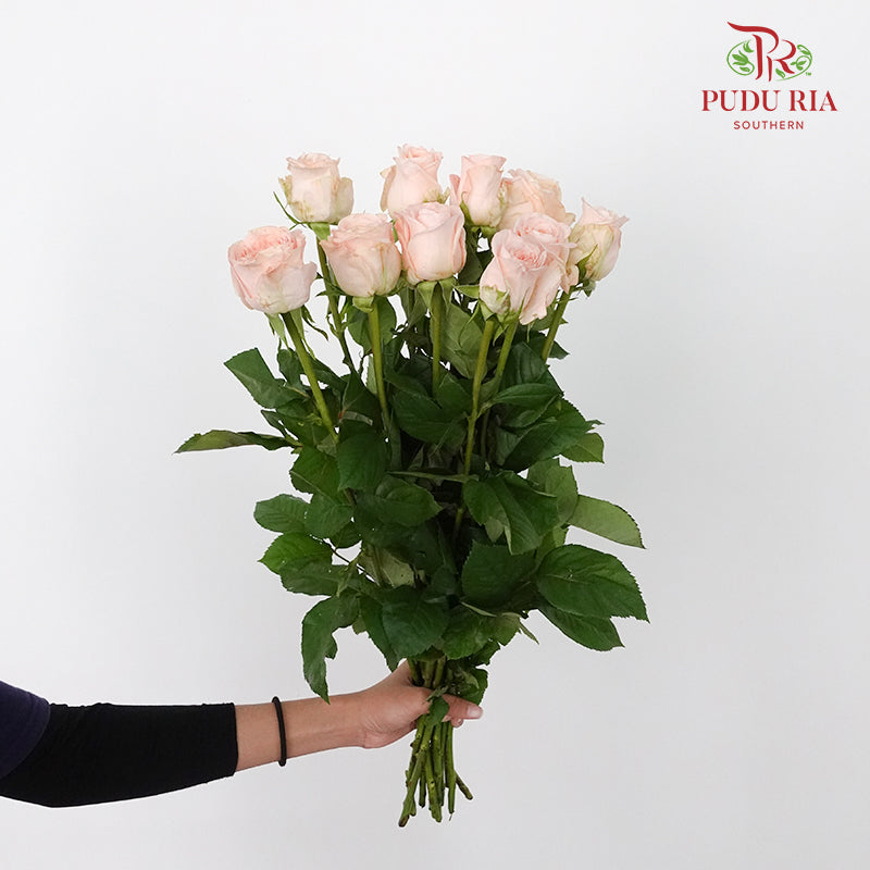 Rose Nuwa (8-10 Stems) - Pudu Ria Florist Southern