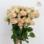 Rose Spray Sancerre - (8-10 Stems)