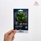 Flowers & Herbs Seeds