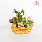 CNY Potted Plant Arrangement 2024#81