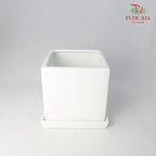 Asst Pot - White