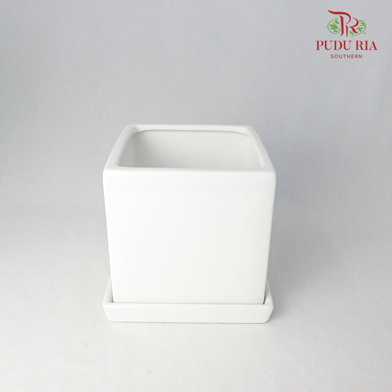 Asst Pot - White
