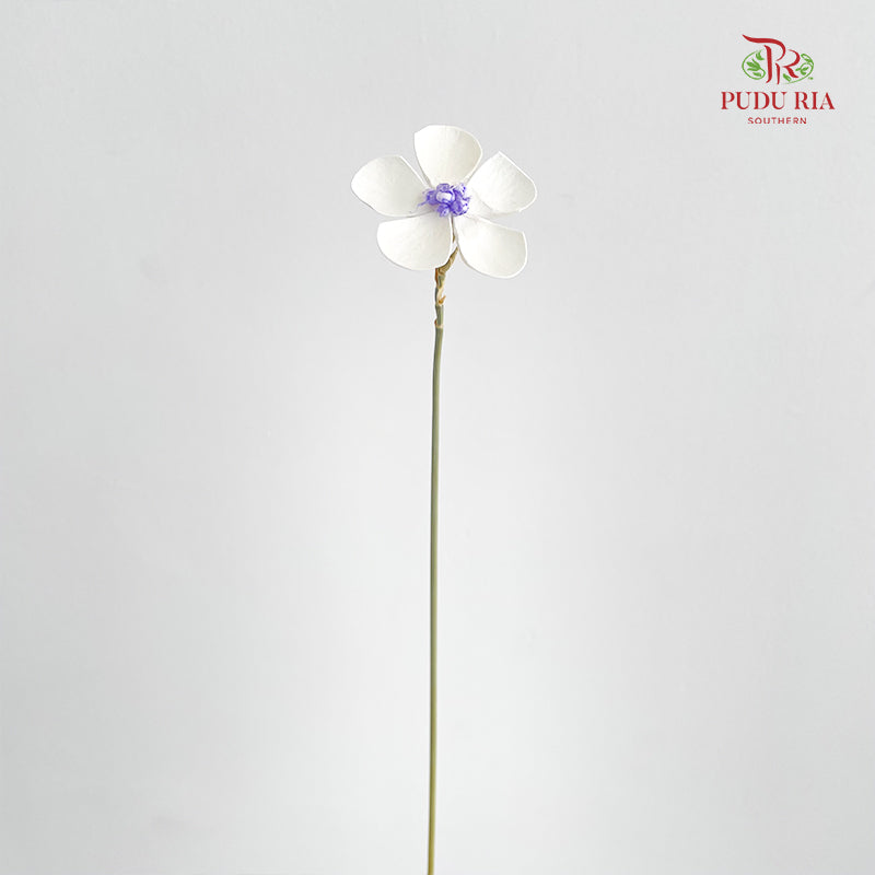 Dry Violet - White Center Purple