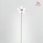 Dry Violet - White Center Purple