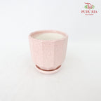 Small Pot  - Pink - Pudu Ria Florist Southern