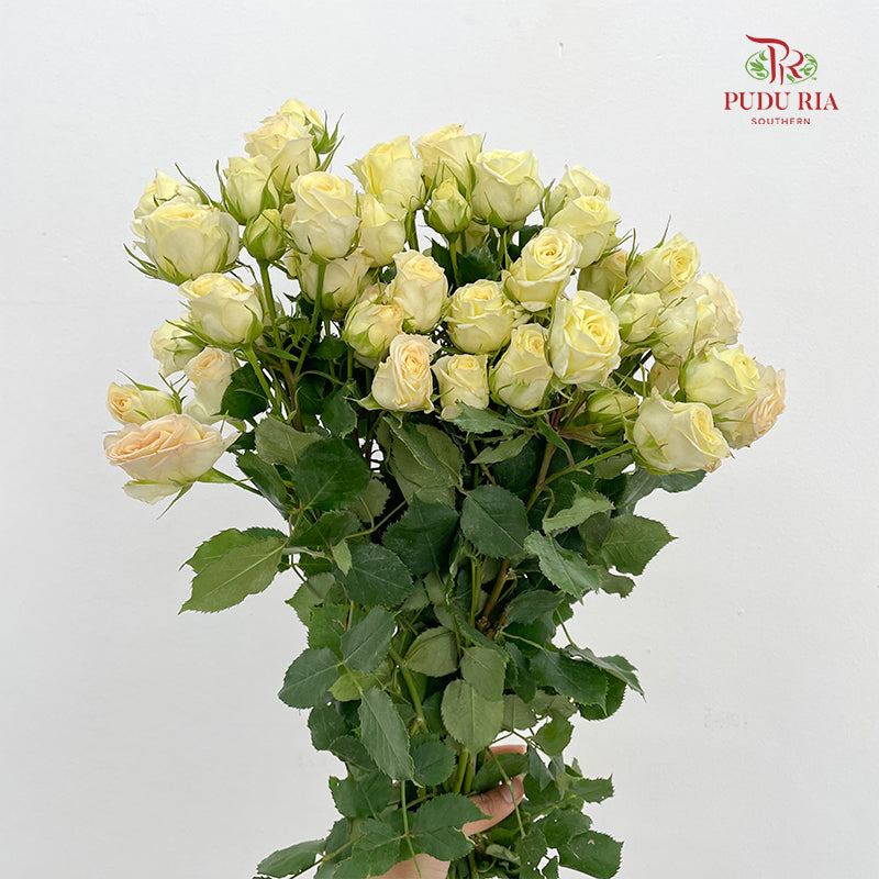 Rose Spray Light Yellow - (8-10 Stems)