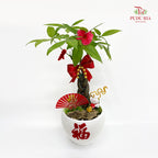 CNY Potted Plant Arrangement 2025#22