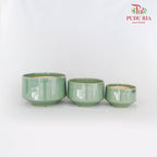JT-266 Green Pot