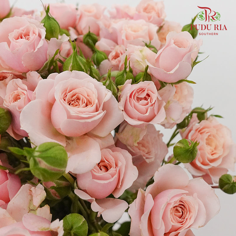 Rose Spray Lilica (8-10 Stems) - Pudu Ria Florist Southern