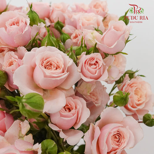 Rose Spray Lilica (8-10 Stems) - Pudu Ria Florist Southern