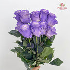 Rose Mondial Dyed Pastel Violet - (8-10 Stems)