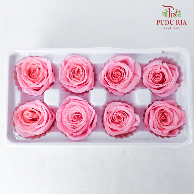 8 Bloom Preservative Rose - Peach - Pudu Ria Florist Southern