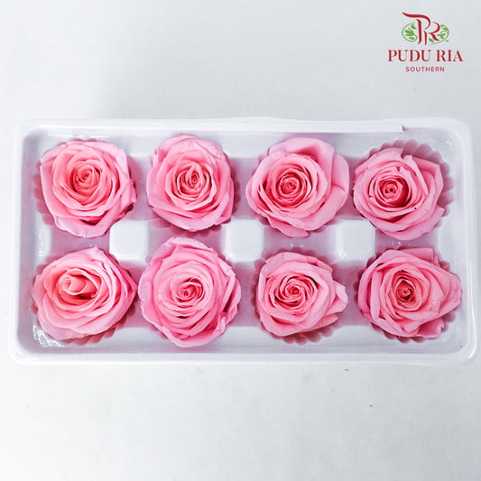 8 Bloom Preservative Rose - Peach - Pudu Ria Florist Southern